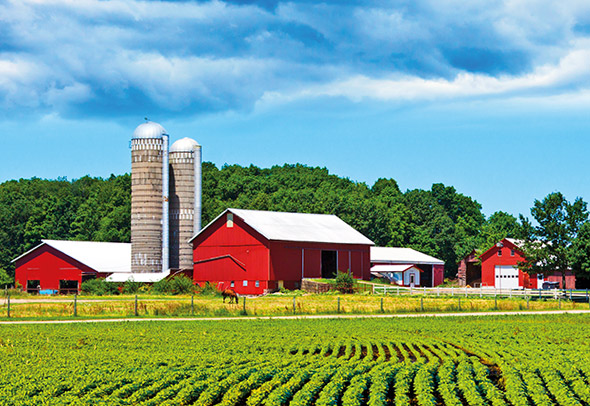 Agriculture